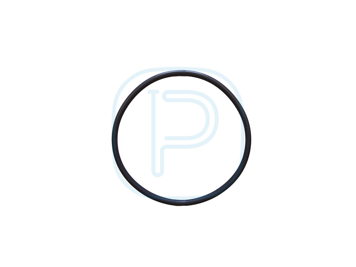 Joint de couvercle de préfiltre pour pompe Renovo / Poolfit